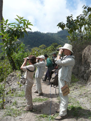 Birding at Angel Paz's Reserve