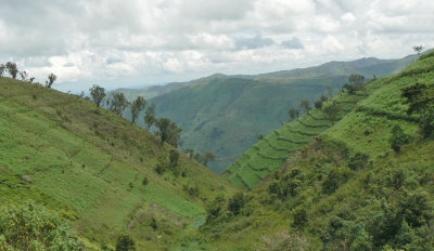 Terraced hills