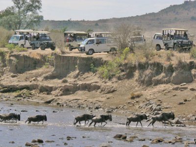 More vehicles than wildebeest
