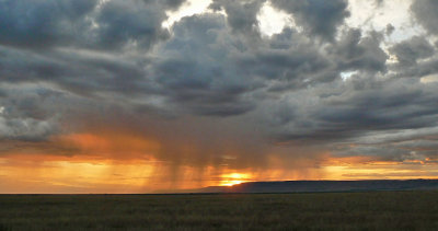 Sunset rain over the Mara