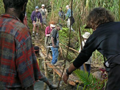 Skinny foot bridge