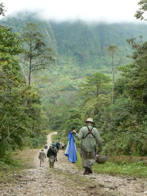 Pipeline road at Tabubil