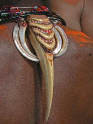Hornbill necklace