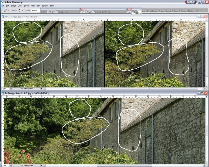 SCREEN_SHOT1D2-FLEX_JPG-vs-C1-a.jpg