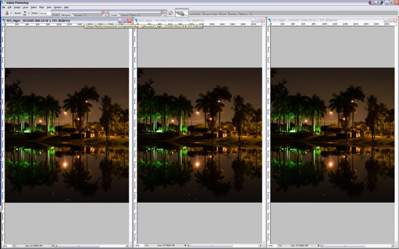 SCREEN_SHOT1D3-Multi_ISO-LR-0-f.jpg