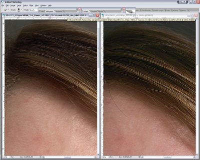 SCREEN_SHOT5D_vs_SD14-Skin_Hair_Detail-1.jpg