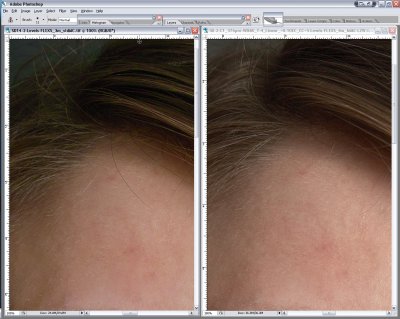 SCREEN_SHOT5D_vs_SD14-Skin_Hair_Detail-1b.jpg