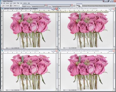 SCREEN_SHOTDPP-RIT-LR1.0-C1_376-a.jpg