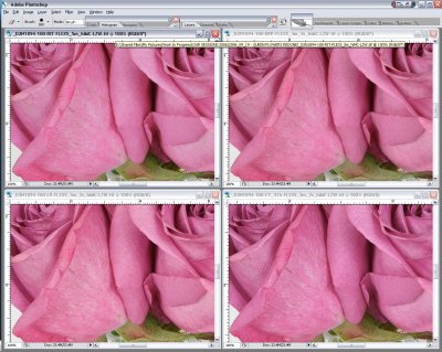 SCREEN_SHOTDPP-RIT-LR1.0-C1_376-b.jpg