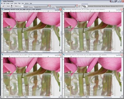 SCREEN_SHOTDPP-RIT-LR1.0-C1_376-d.jpg