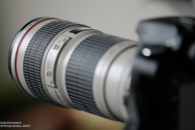 EF_70_200_f4L - CloseUp-_D2N9915-200-web.jpg