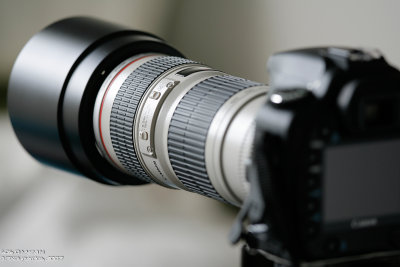 EF_70_200_f4L - CloseUp-_D2N9918-200-web.jpg