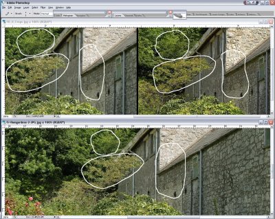 SCREEN_SHOT1D2-FLEX_JPG-vs-C1-a.jpg