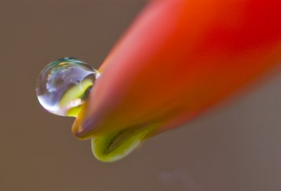 04sDSC_6952.jpg