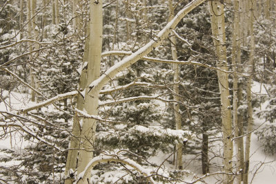 DSC_7240_s.jpg