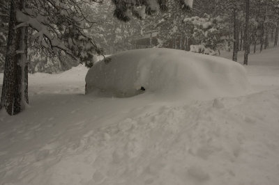 DSC_7472_s.jpg