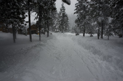 DSC_7478_s.jpg