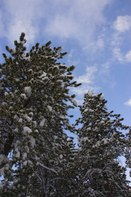 DSC_7494_s.jpg