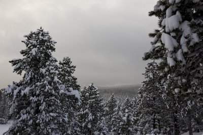 DSC_7497_s.jpg