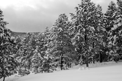 DSC_7507_s.jpg