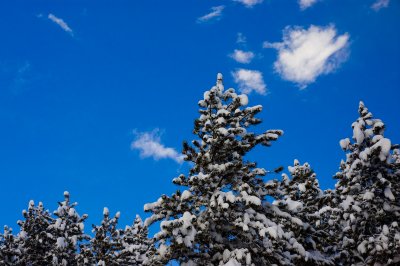 DSC_7510_s.jpg