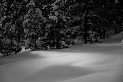 DSC_7519_s.jpg