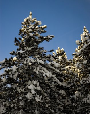 DSC_7520_s.jpg