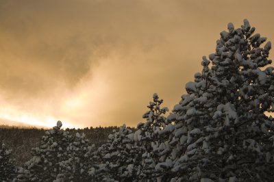 DSC_7526_s.jpg