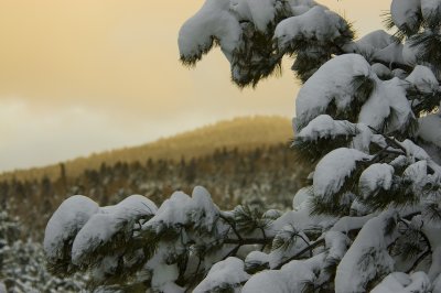 DSC_7544_s.jpg