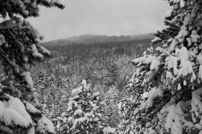 DSC_7551_s.jpg