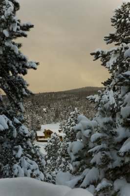 DSC_7554_s.jpg
