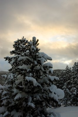DSC_7559_s.jpg