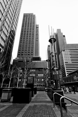 s_DSC_7949_LR.jpg