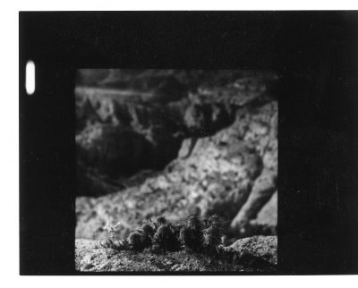 apache_trail_1.jpg