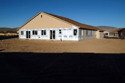 backyard_3.jpg
