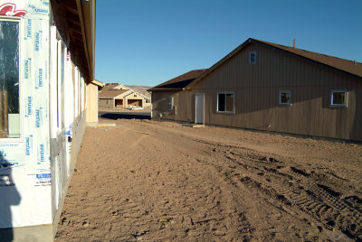 backyard_5.jpg
