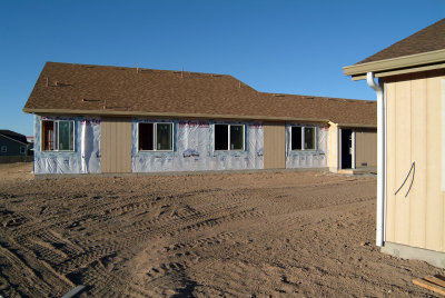 backyard_7.jpg