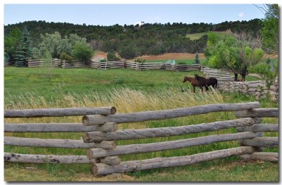 Log fence