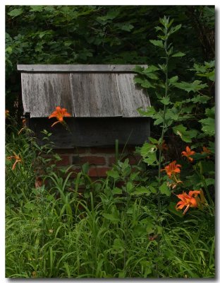 New England mailbox