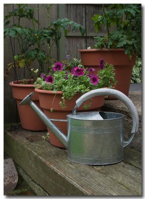 New watering can