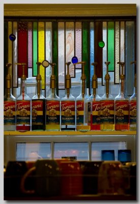 Organ of taste