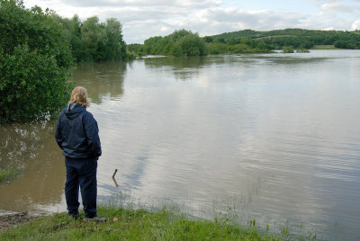 Nature reserve looking to layby.jpg