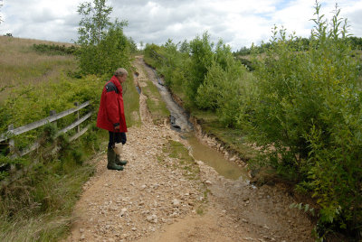 Pithouse West path erosion.jpg