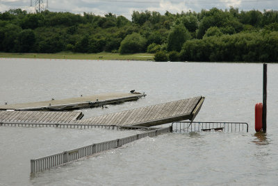 lucky coot (main lake).jpg