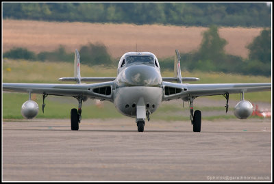 D2X_4890.jpg