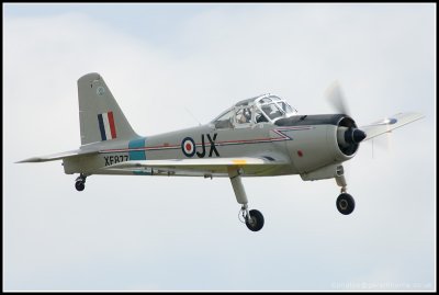 D2X_5029.jpg