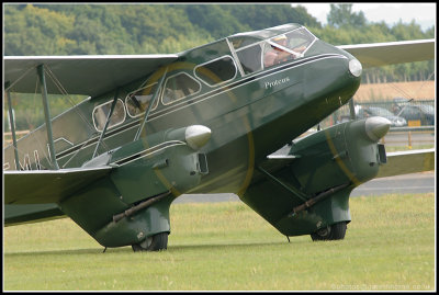 D2X_5086.jpg