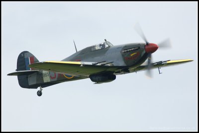 D2X_5169.jpg