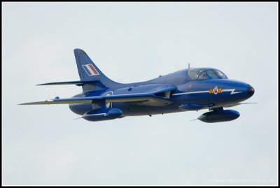 D2X_5194.jpg