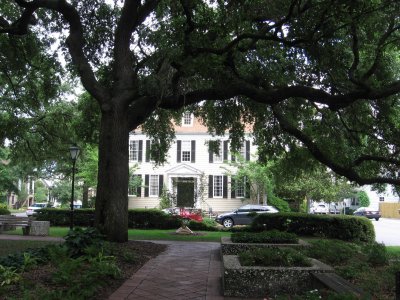 2005-06 Savannah 41.JPG